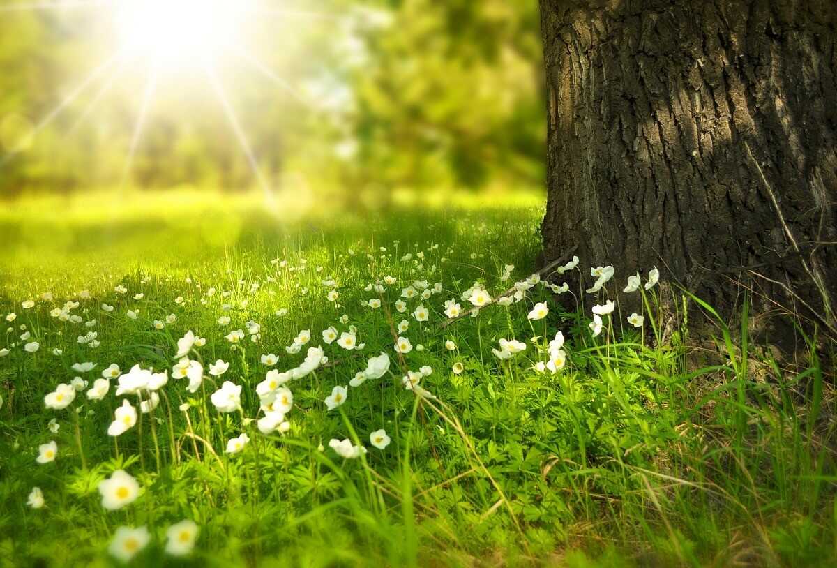 życzenia imieninowe dla córki