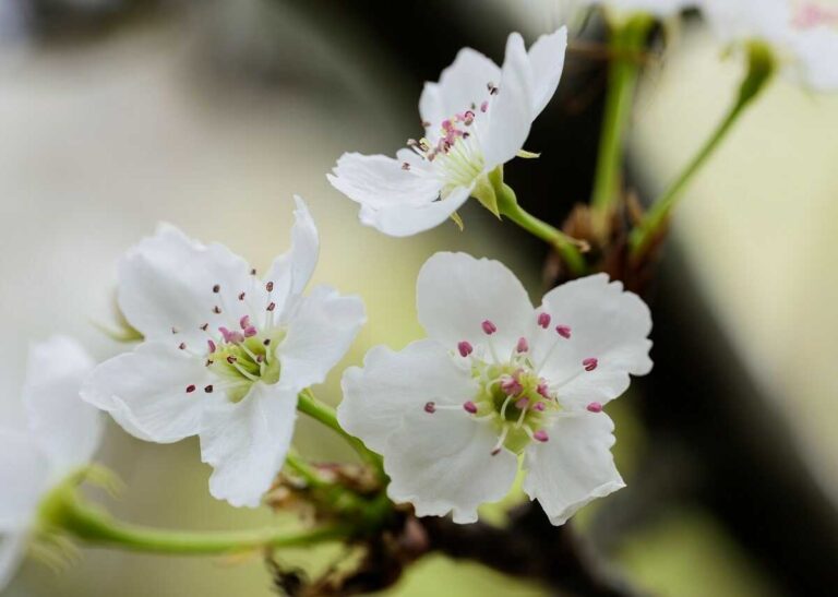 życzenia imieninowe dla koleżanki