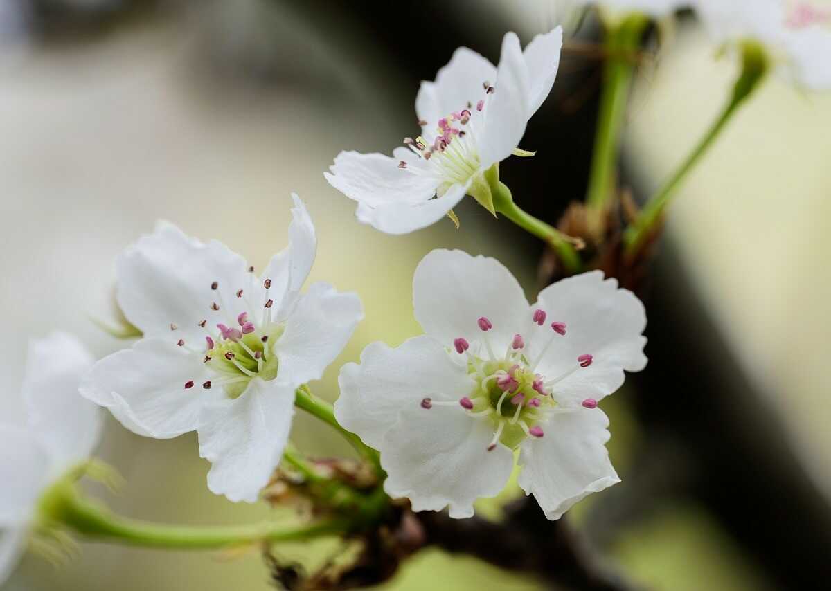 życzenia imieninowe dla koleżanki